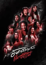 Terror Tuesday Extreme (2024) อังคารคลุมโปง เอ็กซ์ตรีม EP.1-8 (จบ)