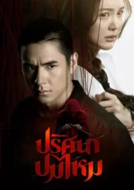 The Yarns (2025) ปริศนาปมไหม EP.1-12 (จบ)