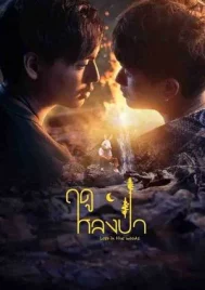 Lost in the Woods (2025) ฤดูหลงป่า EP.1-7 (จบ)