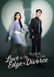Love in the Edge of Divorce (2025) เมื่อหัวใจห่างไกลรัก EP.1-31 (จบ)