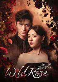 Wild Rose (2025) ทวงแค้นได้รัก EP.1-24 (จบ)