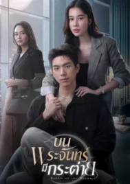 Rabbit on the Moon (2025) บนพระจันทร์มีกระต่าย EP.1-16 (จบ)