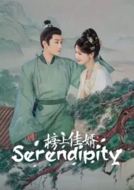 Serendipity (2025) ราชบุตรเขยที่รัก EP.1-40 (จบ)