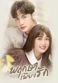 A Romance of The Little Forest (2022) พฤกษาเพียงรัก EP.1-35 (จบ)