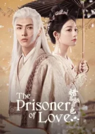 The Prisoner of Love (2025) ห้วงรักลิขิตแค้น EP.1-24 (จบ)