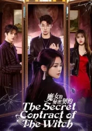 The Secret Contract of the Witch (2025) ลิขิตรักผู้วิเศษ EP.1-24 (จบ)