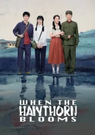 When The Hawthorn Blooms (2025) EP.1-18 (จบ)