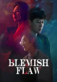 Blemish Flaw (2025) EP.1-16 (จบ)