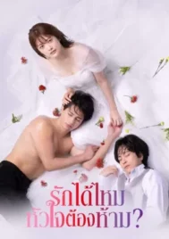 First Love Affair Can I Call This My First Love (2024) รักได้ไหม หัวใจต้องห้าม EP.1-10 (จบ)