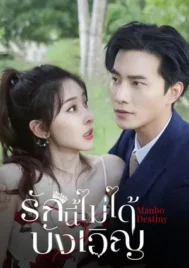 Manbo Destiny (2025) รักนี้ไม่ได้บังเอิญ EP.1-24 (ยังไม่จบ)