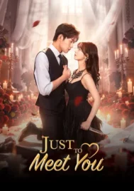 Just To Meet You (2026) บังเอิญพบก็เผลอรัก EP.1-24