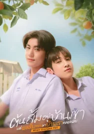 When Oranges Fall (2026) ต้นส้มอยู่บ้านเขา แต่ผลส้มหล่นมาบ้านเราตลอดเลย EP.1-12